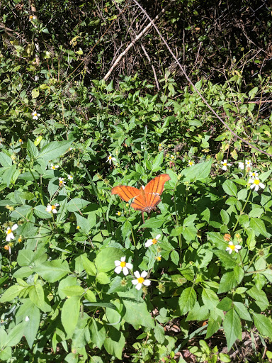 Nature Preserve «Sandy Ridge Sanctuary», reviews and photos, 8501 NW 40th St, Coral Springs, FL 33065, USA