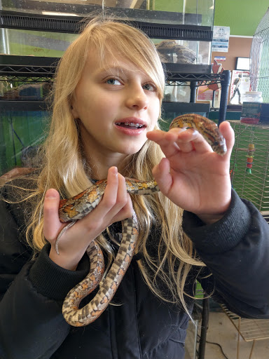 Pet Store «Something Fishy Pets», reviews and photos, 29 Towne Centre Ln, Fox Lake, IL 60020, USA