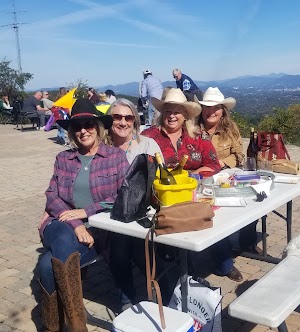 Valhalla Vineyards - photo 47