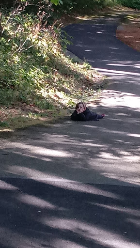 Park «Lake Geneva Park», reviews and photos, 34429 46th Ave S, Auburn, WA 98001, USA