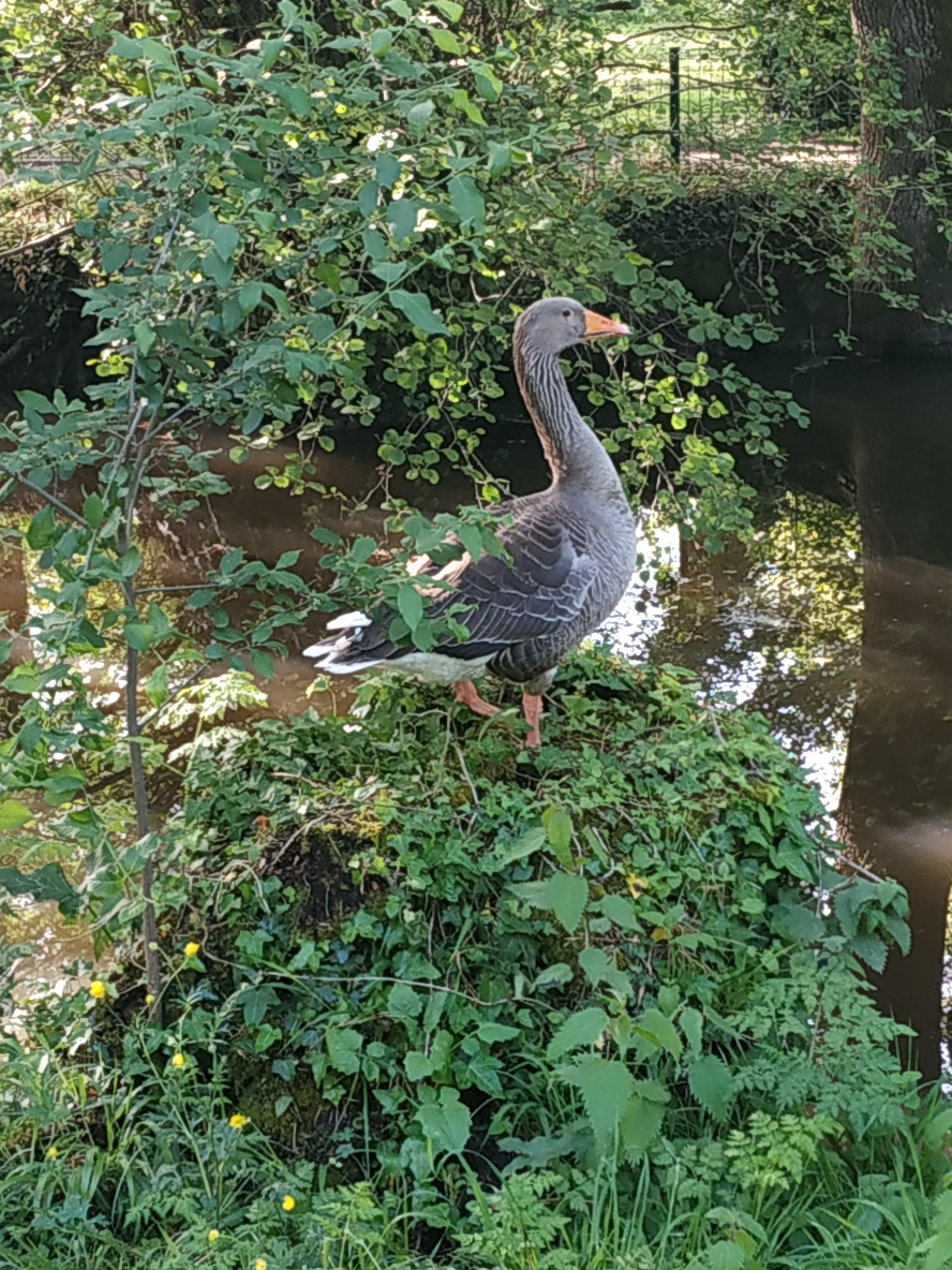 Photo n° 2 de l'avis de Valerie.u fait le 17/05/2021 à 15:56