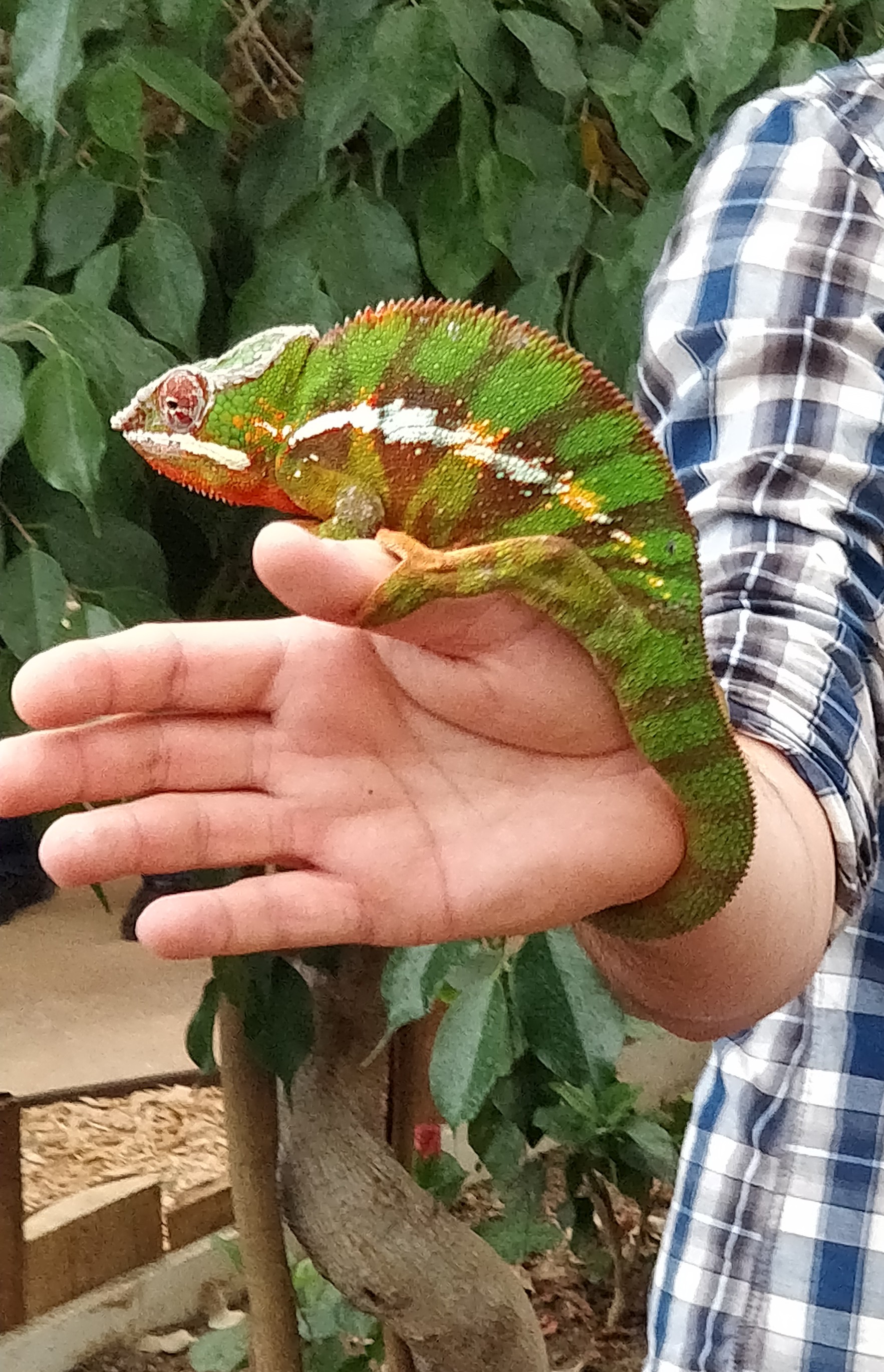 Photo n° 1 de l'avis de Olivier.. fait le 17/10/2018 à 07:36