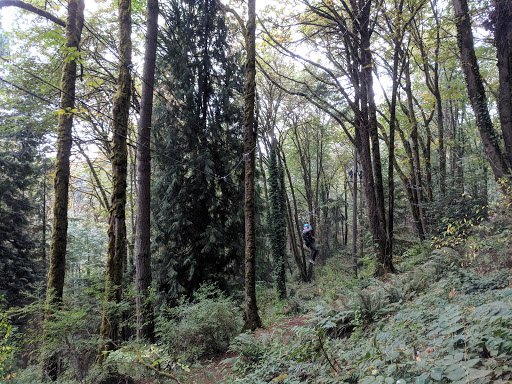 Community Center «South Bellevue Community Center», reviews and photos, 14509 SE Newport Way, Bellevue, WA 98006, USA