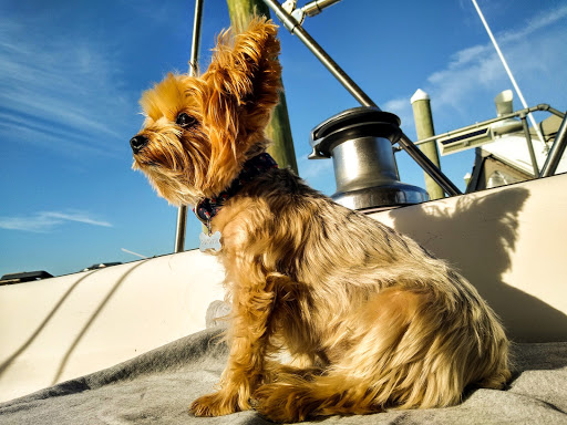 Dunn Animal Hospital PA image