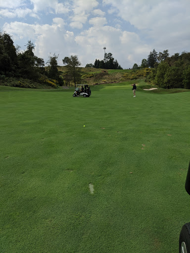 Golf Course «Diamond Run Golf Club», reviews and photos, 132 Laurel Oak Dr, Sewickley, PA 15143, USA