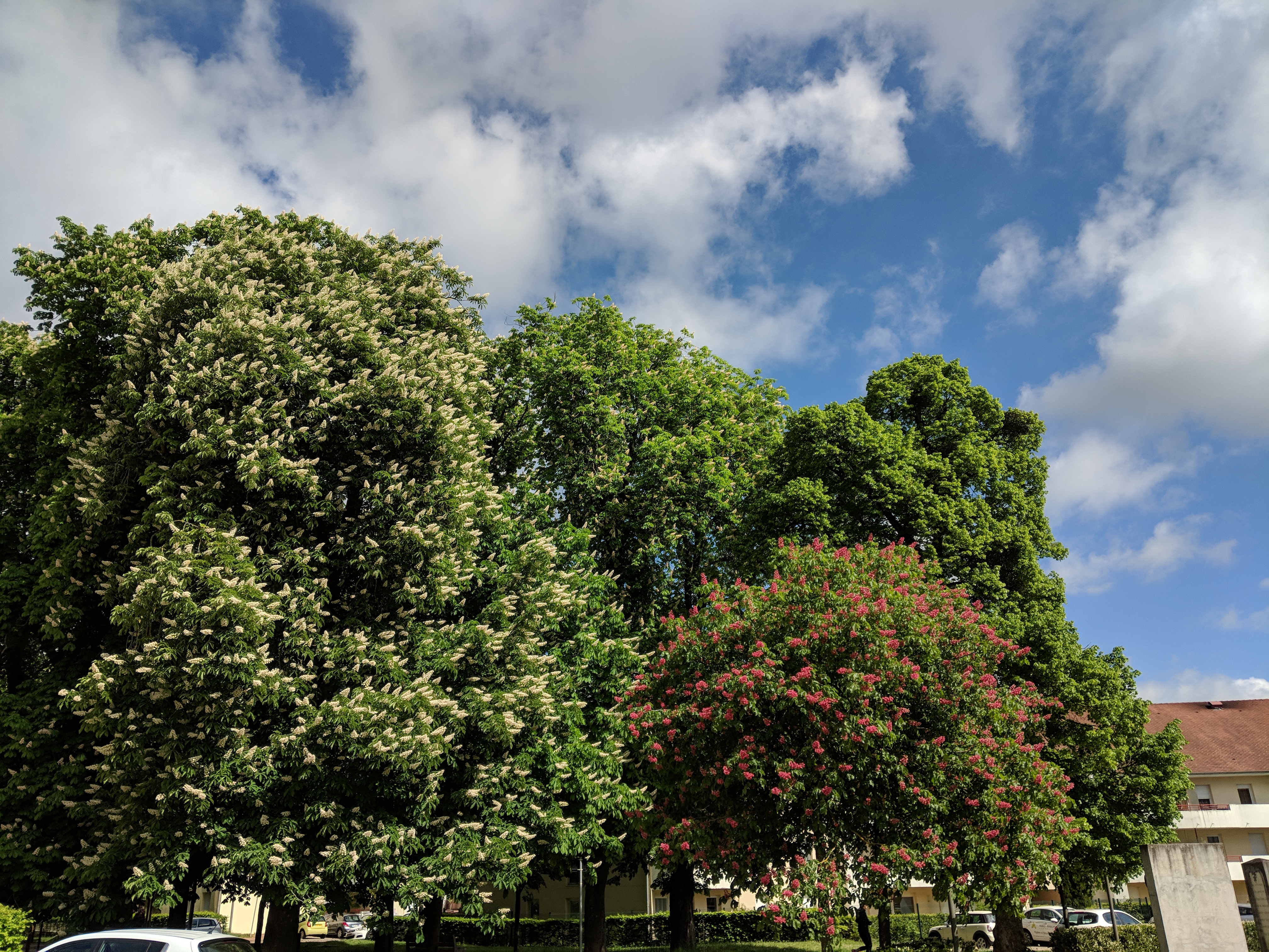 Photo n° 4 de l'avis de Jean-Michel.U fait le 01/05/2018 à 13:08