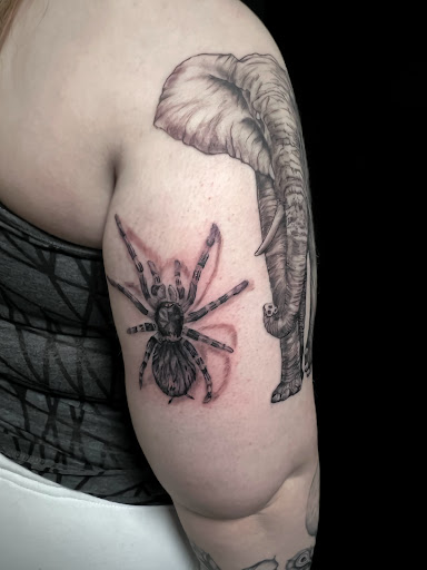 Explore cubs tattoo ideas, creative tattoo ideas in Columbia, available at Newinked Studio