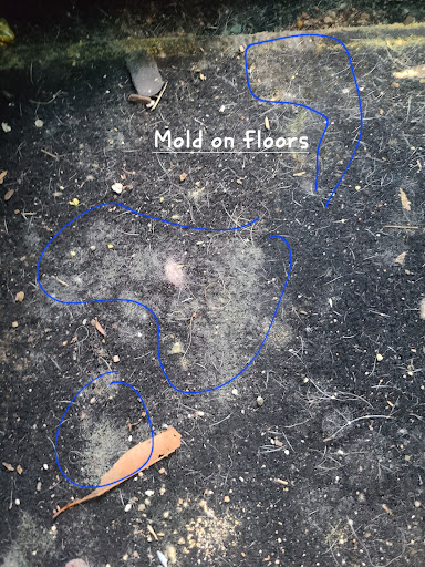 Ford Dealer «Denton Ford», reviews and photos, 1207 Double Hills Rd, Denton, MD 21629, USA