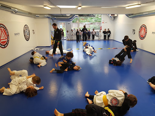 Hapkido lessons Brussels