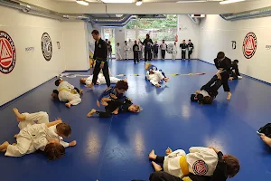 Brasa Belgium Brazilian Jiu Jitsu Academy image