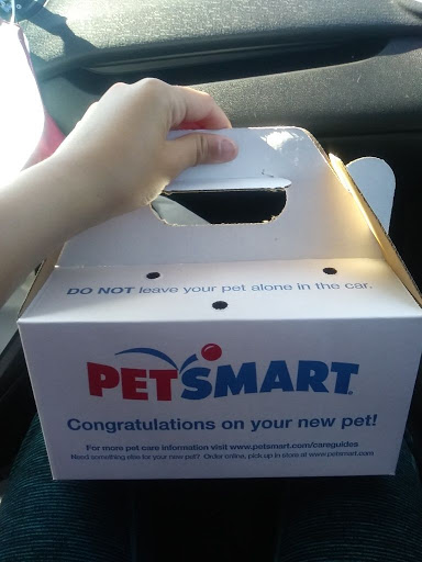 Pet Supply Store «PetSmart», reviews and photos, 23470 Allen Rd, Woodhaven, MI 48183, USA