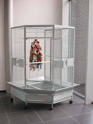 QualityBird - La boutique de vos oiseaux à Cysoing