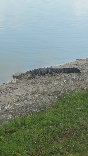 Golf Course «Coral Oaks Golf Course», reviews and photos, 1800 NW 28th Ave, Cape Coral, FL 33993, USA