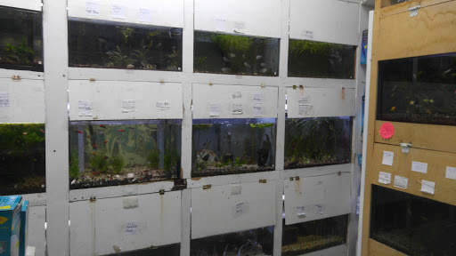 Tropical Fish Store «Aqua-Life Central», reviews and photos, 389 Wickenden St, Providence, RI 02903, USA