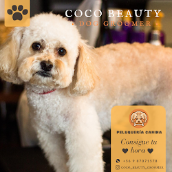 Peluquería Canina Con Camara Web ~Coco Beauty Groomer~