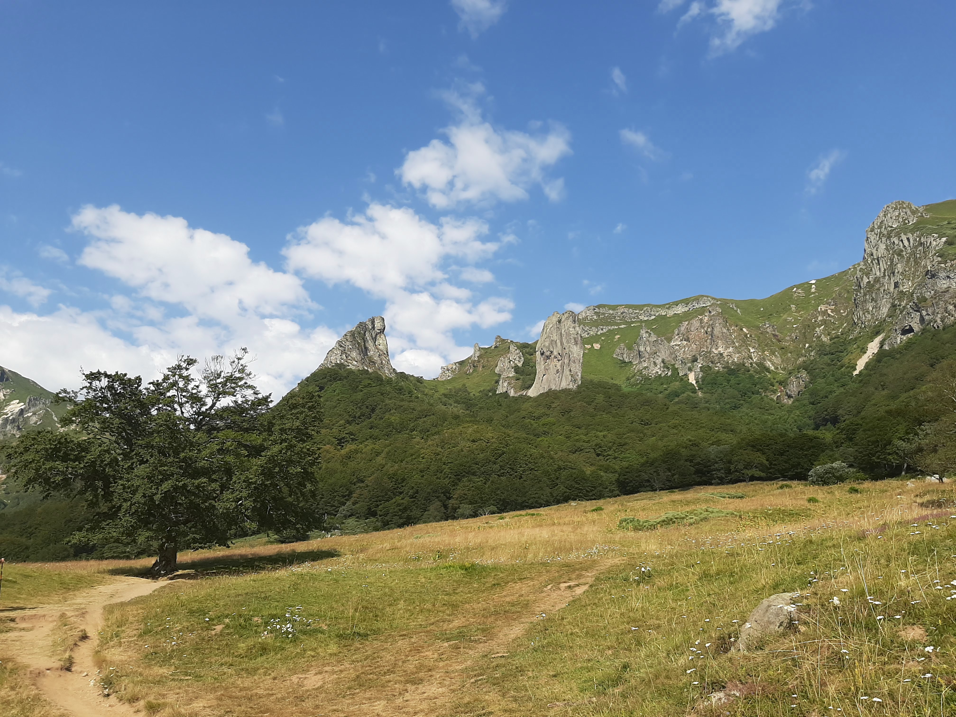 Photo n° 2 de l'avis de Corinne.u fait le 31/07/2020 à 15:04