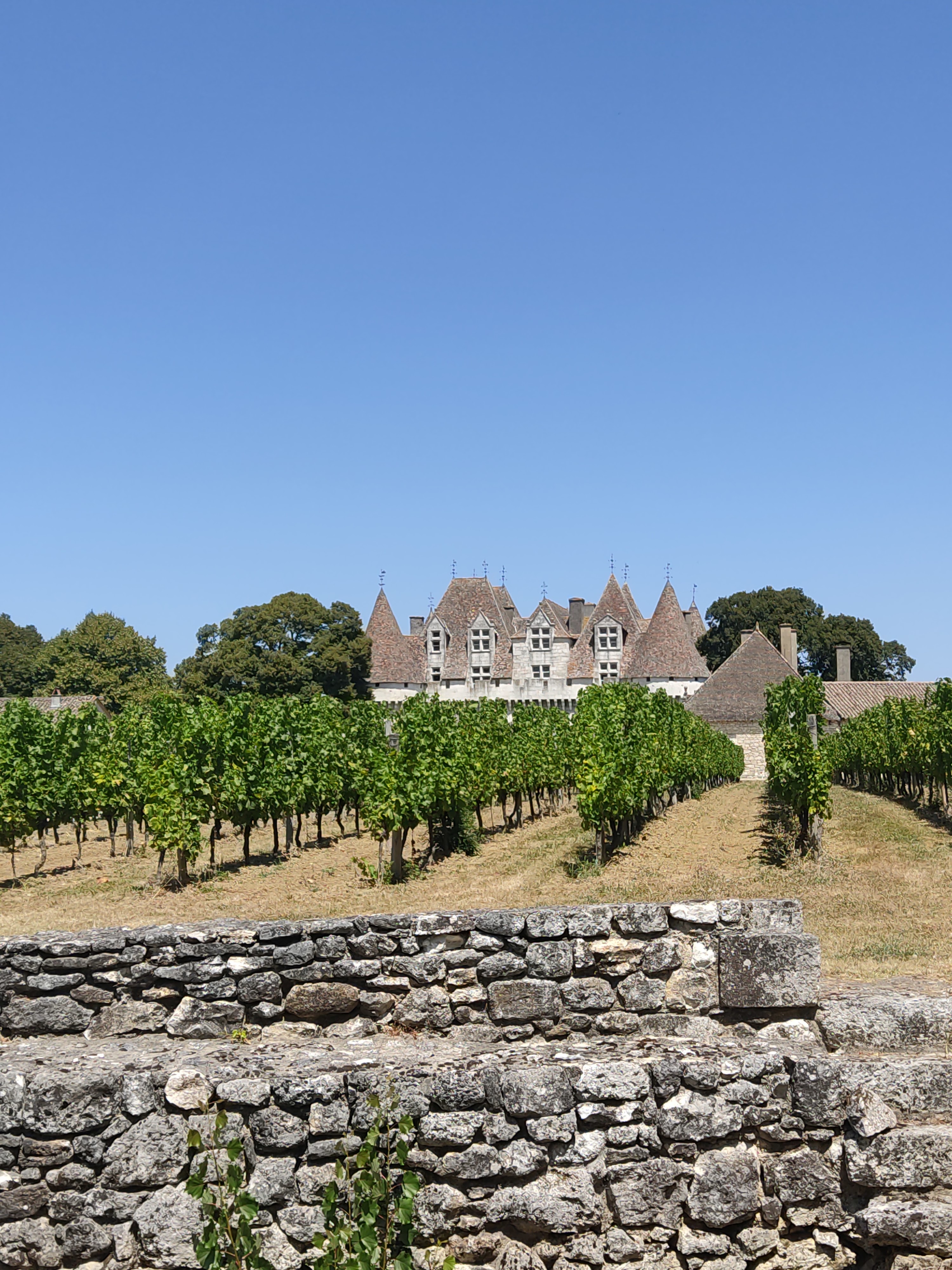 Photo n° 3 de l'avis de Ilona. fait le 06/08/2022 à 15:08
