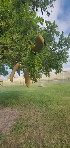 Park «Victor Park», reviews and photos, 1601 S M St, Harlingen, TX 78550, USA