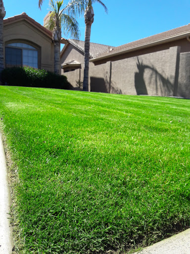 Golf Course «Oakwood Golf Course», reviews and photos, 9649 E Ej Robson Blvd, Sun Lakes, AZ 85248, USA