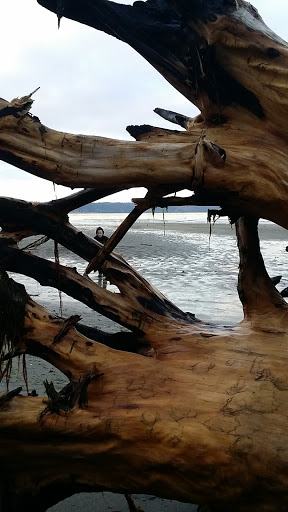 State Park «Dash Point State Park», reviews and photos, 5700 SW Dash Point Rd, Federal Way, WA 98023, USA