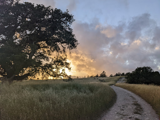 Bicycle Store «Epicenter Cycling», reviews and photos, 1730 Mission St, Santa Cruz, CA 95060, USA