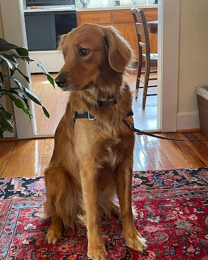 Real Estate Agency «Hank Cosby Real Estate», reviews and photos, 3812 Old Buckingham Road, Powhatan, VA 23139, USA