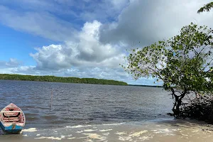 Área de Relevante Interesse Ecológico Manguezais da Foz do Rio Mamanguape image