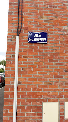 Lemaire Dominique à Toufflers
