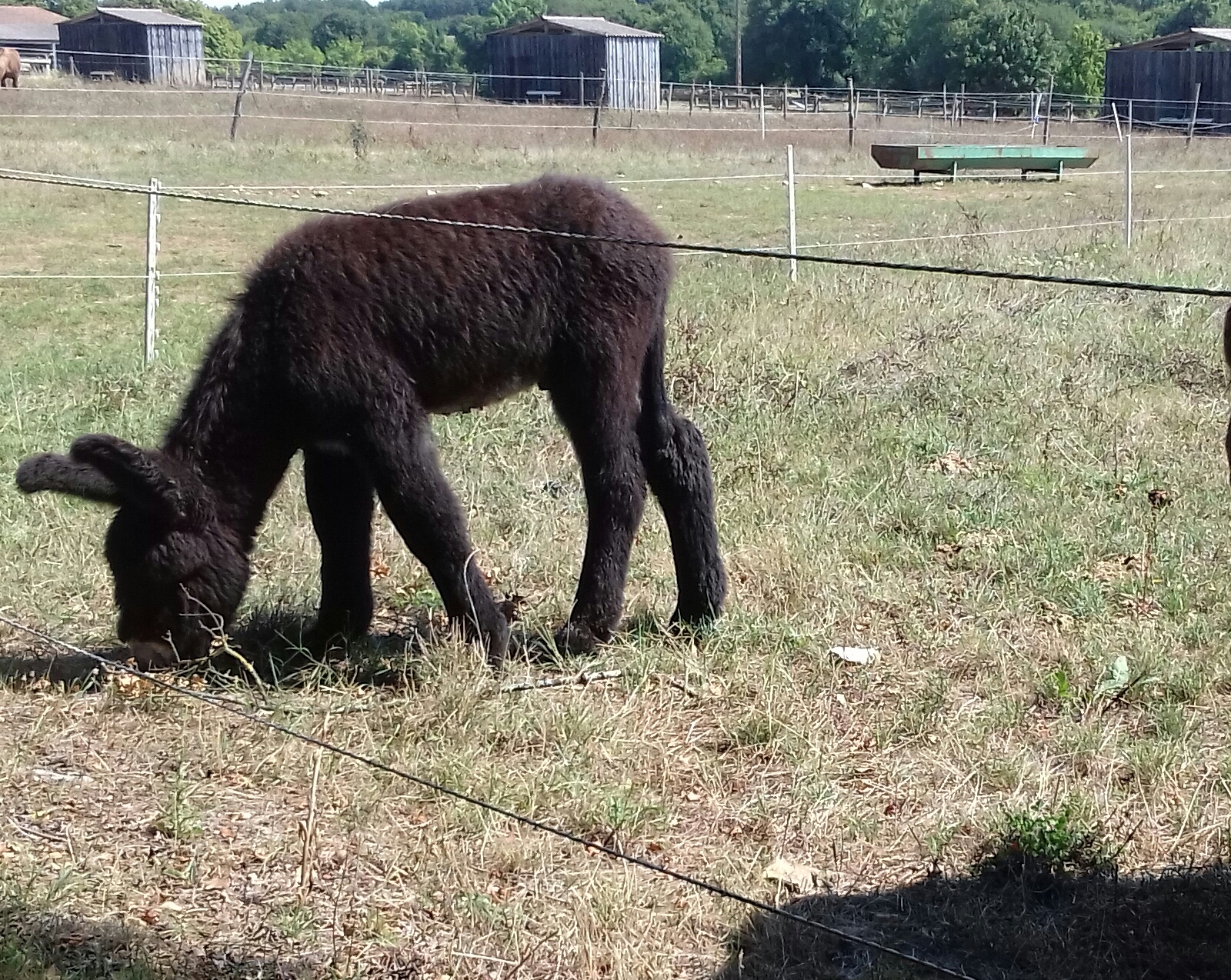 Photo n° 2 de l'avis de Martine.a fait le 07/08/2019 à 12:24