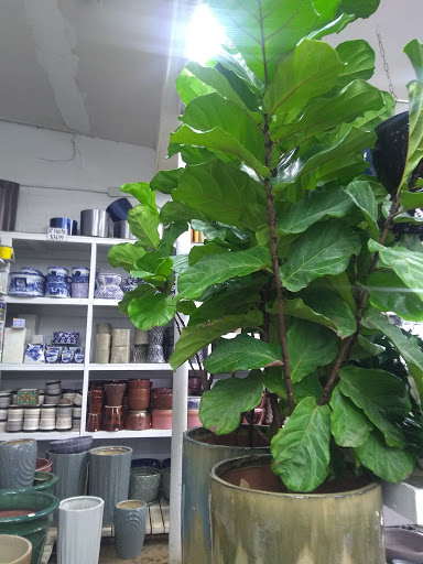 Florist «Metropolitan Plant & Flower», reviews and photos, 840 NJ-17, Paramus, NJ 07652, USA