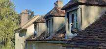 Cottage du Restaurant Moulin de Vanneau à Saints-en-Puisaye - n°11