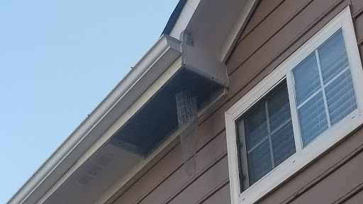 Pest Control Service «Attic Kings», reviews and photos