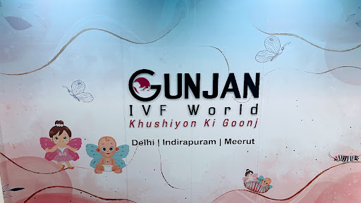 Gunjan IVF World (Test Tube Baby Center)