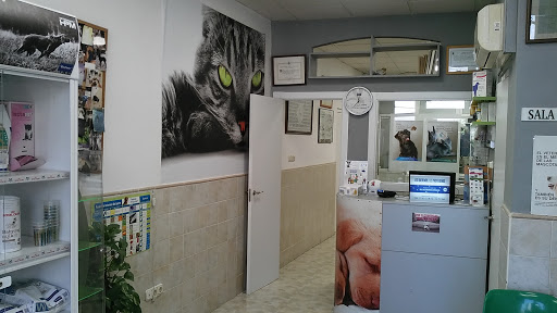 Clínica Veterinaria Xàtiva en Xàtiva