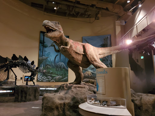 Natural History Museum «Fernbank Museum of Natural History», reviews and photos, 767 Clifton Rd, Atlanta, GA 30307, USA