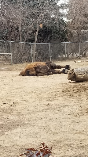 Zoo «Monkey Island», reviews and photos, 8 E 23rd Ave, Denver, CO 80205, USA