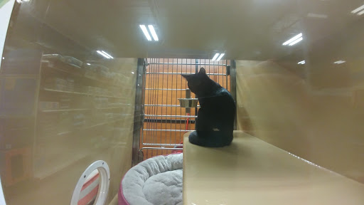 Pet Supply Store «PetSmart», reviews and photos, 300 NJ-18, East Brunswick, NJ 08816, USA