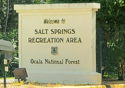 National Forest «Ocala National Forest», reviews and photos, FL-40, Silver Springs, FL 34488, USA