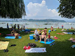 Schwimmbad Murten'in fotoğrafı plaj tatil beldesi alanı