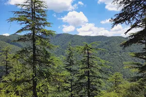 Shimla Reserve Forest Sanctuary image