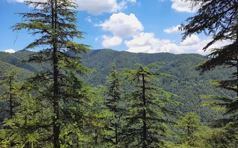 Shimla Reserve Forest Sanctuary image