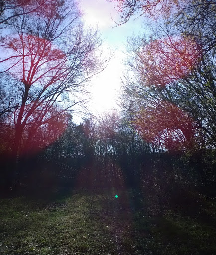 Public Golf Course «Lagoon Park Golf Course», reviews and photos, 2855 Lagoon Park Dr, Montgomery, AL 36109, USA