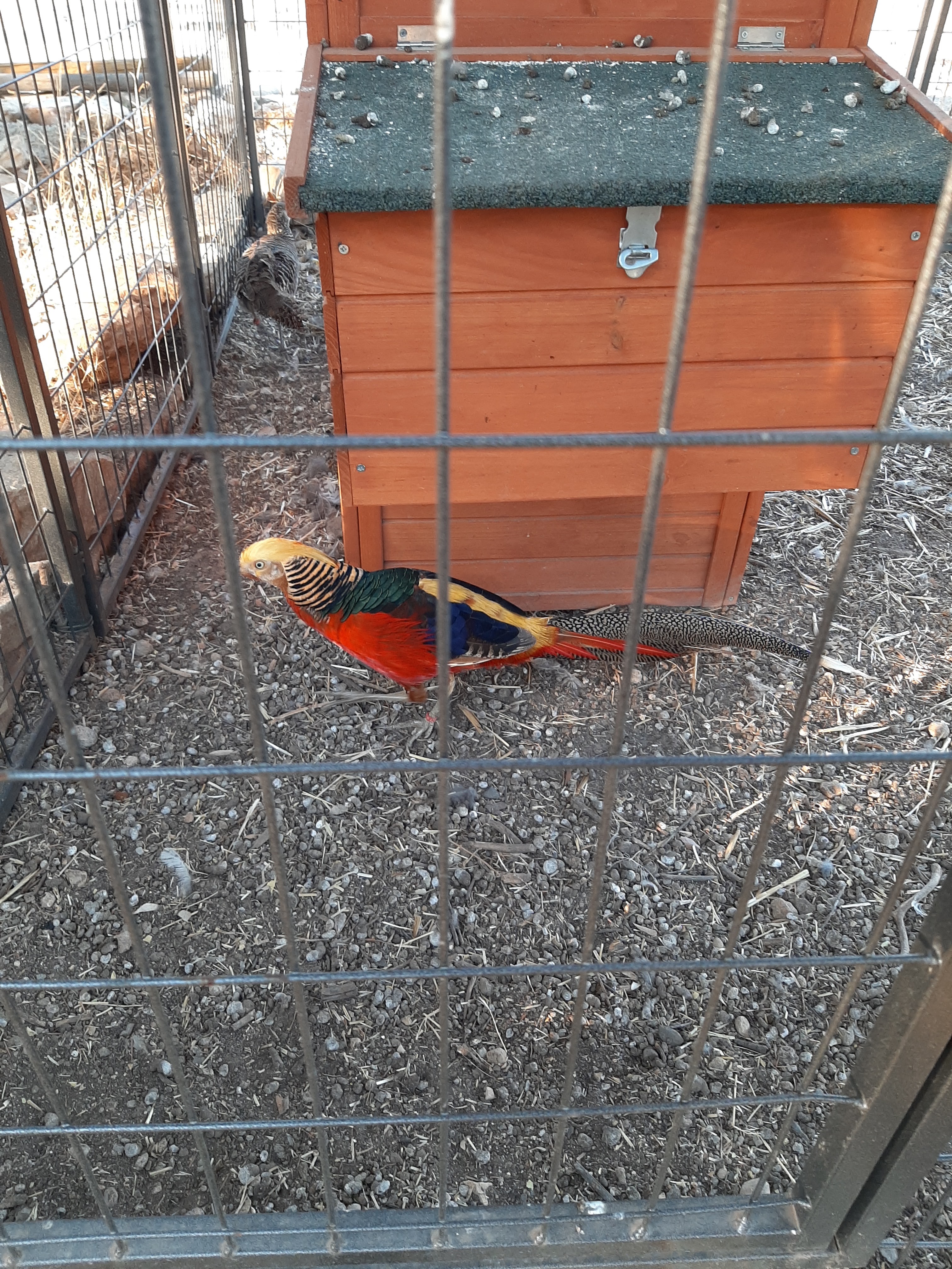 Photo n° 8 de l'avis de Jessica.e fait le 18/08/2019 à 21:07