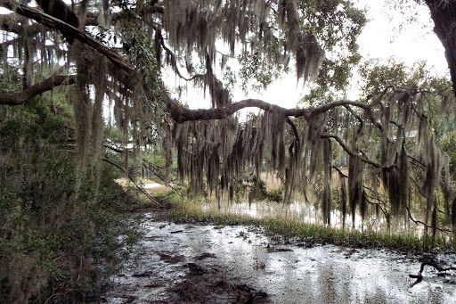 Museum «Georgia State Railroad Museum», reviews and photos, 655 Louisville Rd, Savannah, GA 31401, USA