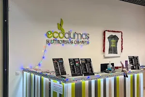 Ecodumas, SIA image