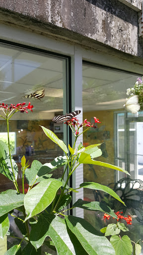 Imax Theater «Florida Hospital IMAX DOME Theatre», reviews and photos, 4801 E Fowler Ave, Tampa, FL 33617, USA