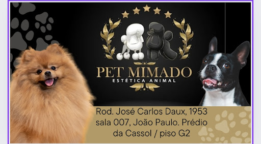 Logo da empresa - Pet Mimado Floripa