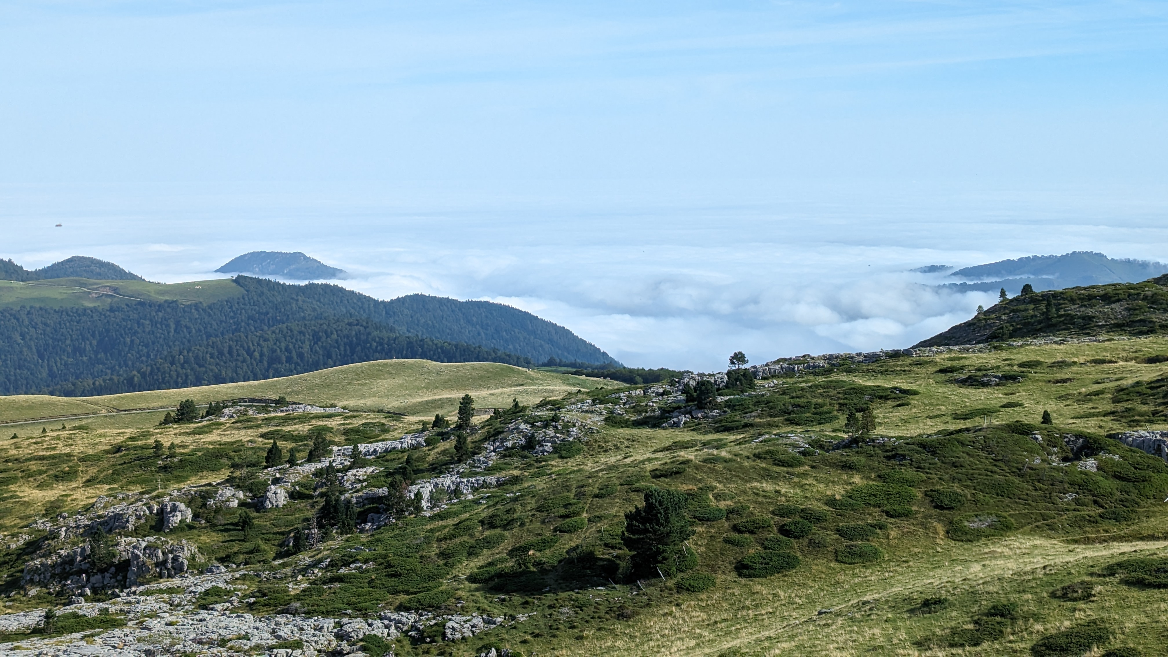 Photo n° 2 de l'avis de Françoise.a fait le 22/08/2023 à 17:09