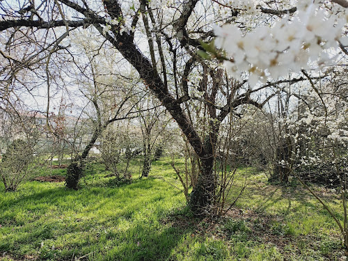 Bois des prunelliers à Annemasse