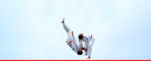 Red Force Self-Défense Ju-Jitsu